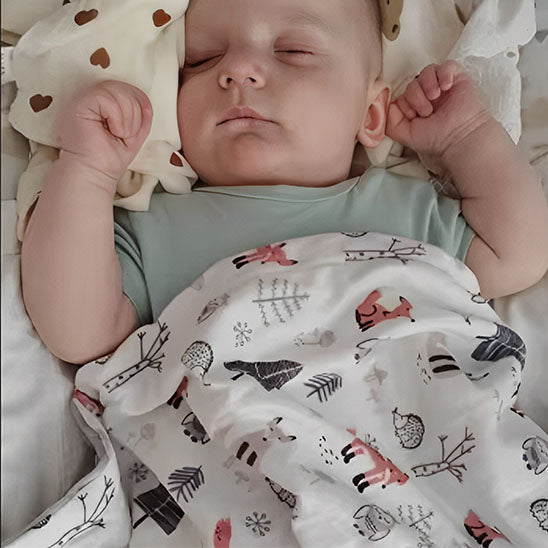 Couverture Bébé | Animaux